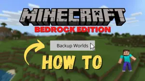 How to backup Minecraft Bedrock Edition World